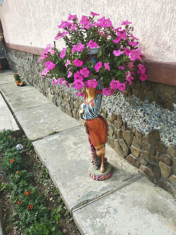 "Різьбярська Садиба" Slavske Exterior photo