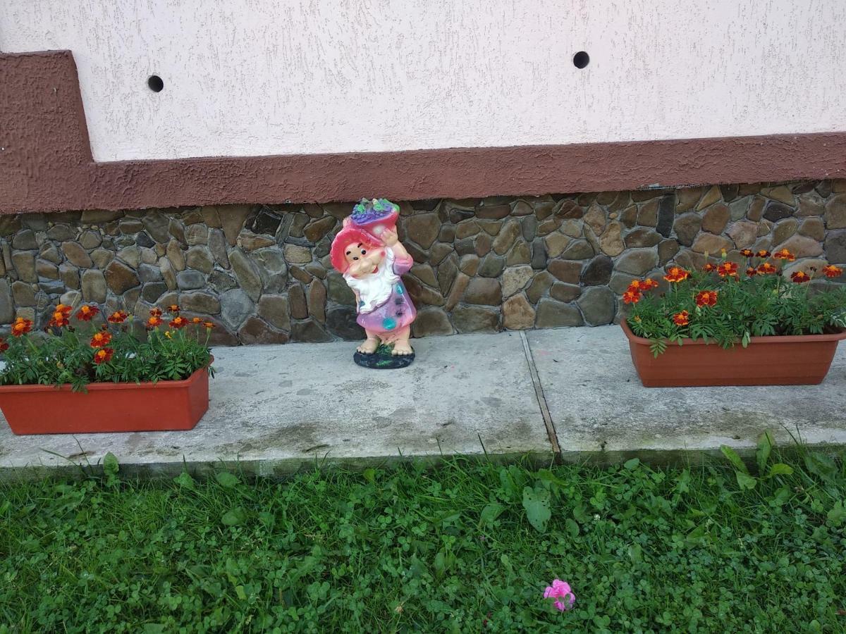 "Різьбярська Садиба" Slavske Exterior photo